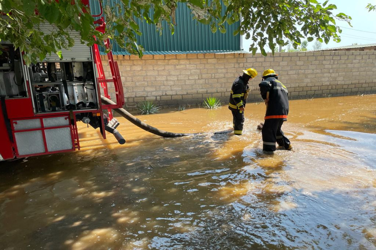 64cc88544cacd64cc88544cace169112584464cc88544cacb64cc88544cacc