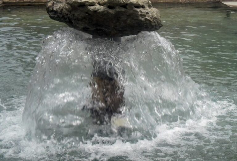 1676959917985463190_1200x630