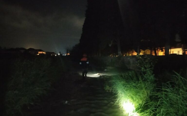 1716065113_518b1a03-7b30-3b7b-a163-79ae809a6a02_850.jfif