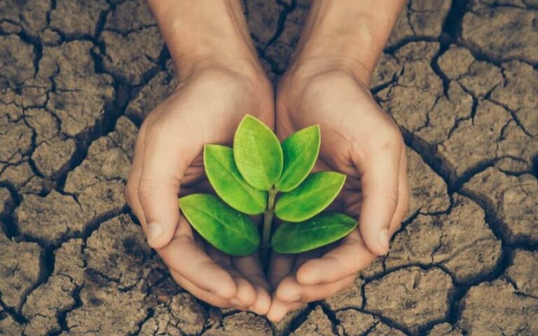 18a8c5d2-b296-34d5-b6dc-407183be44c6_850