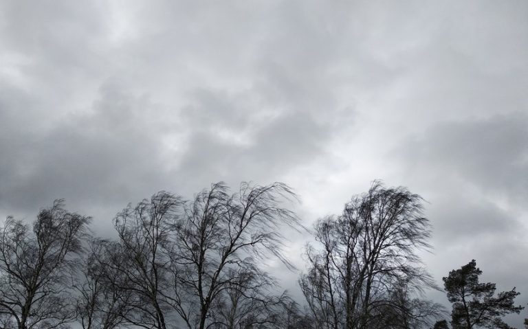 7ef44aa8-dda4-3978-ad15-80a007131d73_850