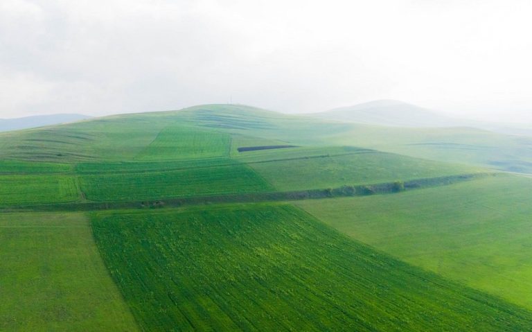 e22acec1-67db-3444-9932-56f8e783c97f_850