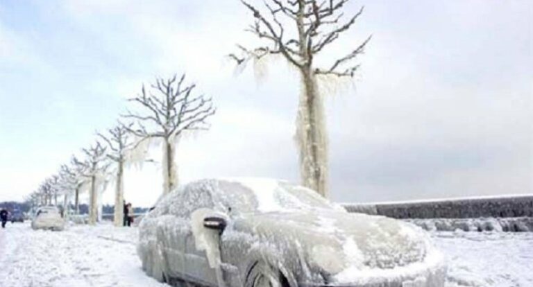 1673682447_fe738e5a8932