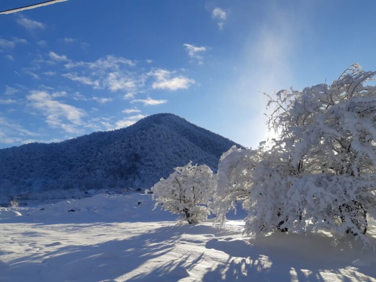 20230110112231_82084800