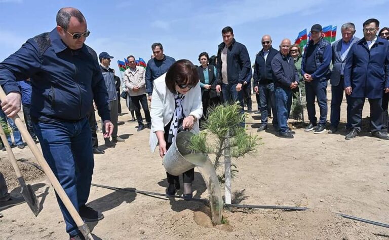 345586084_1981584302196736_232442244256626474_n