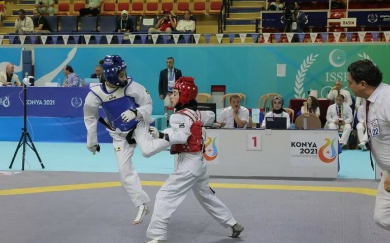 6178be43-a295-3140-8b66-276938d82cd0_850