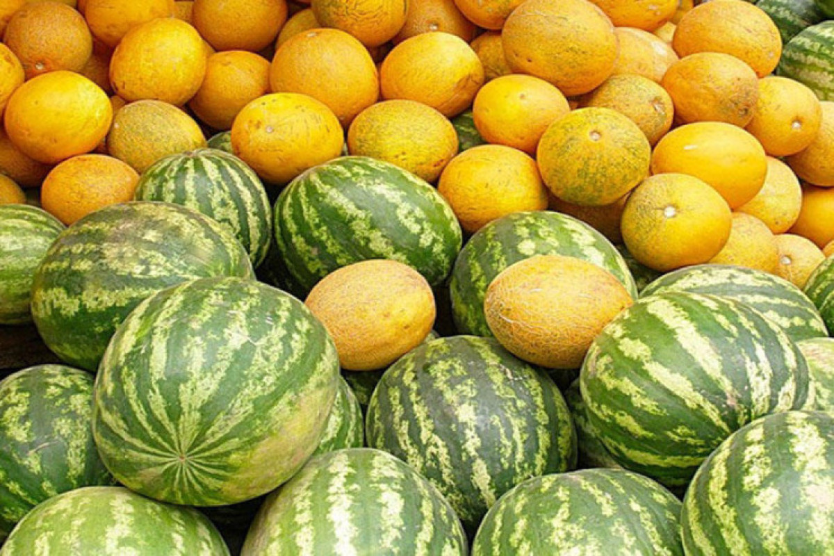 64ae27b31e71364ae27b31e714168913502764ae27b31e71164ae27b31e712