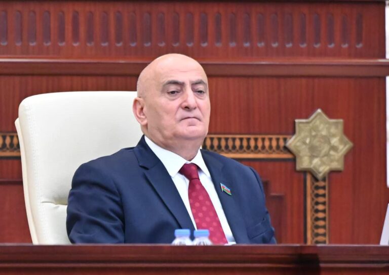 WhatsApp Image 2024-11-13 at 16.22.02