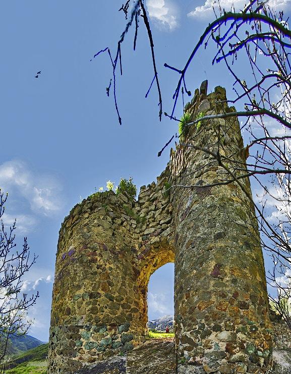 Yeni surxanı fərid