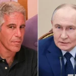 6981b1a9c99c56981b1a9c99c617701073056981b1a9c99c36981b1a9c99c4