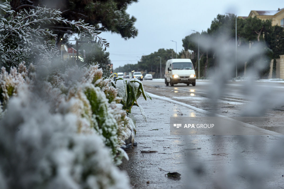 6981b6d9038e96981b6d9038ea1770108633ea7332649c98be0761f48c451335b671