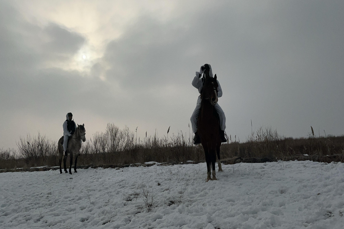 6981bb6452d4b6981bb6452d4c17701097966981bb6452d496981bb6452d4a