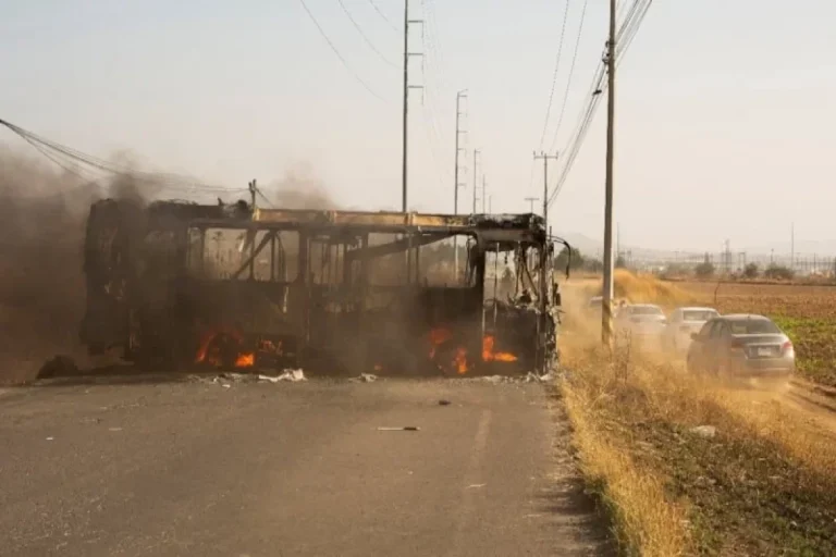 699b60406d25d699b60406d25e1771790400699b60406d25b699b60406d25c