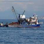 6a23133fb68326a23133fb683317806835836a23133fb68306a23133fb6831